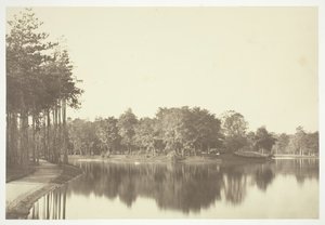 Uten tittel, c. 1850. [Trær nær vann i Bois de Boulogne, en park i Paris]. av Charles Marville