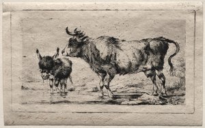 Ku og esel, 1849. av Charles Meryon
