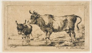 The Cow and Ass