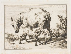 Øya med to lam av Charles Meryon