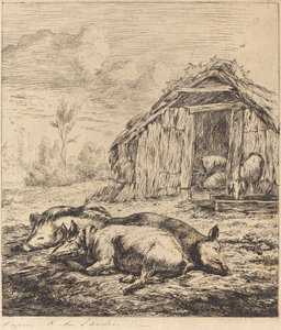 De tre grisene som ligger foran stallen (tre svin som ligger foran en stall) av Charles Meryon after Karel Dujardin