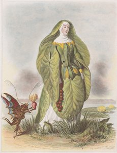 Vannlilje, fra Les Fleurs Animées, 1847.