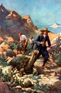 De gigantiske skilpaddene på Galapagosøyene av Charles Mills Sheldon