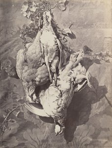 [Still Life with Game Birds], 1859. av Charles Nègre