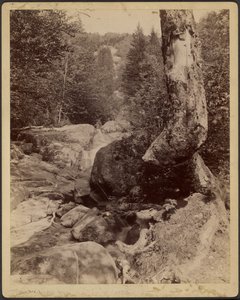  av Charles P. Hibbard