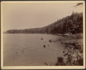  av Charles P. Hibbard