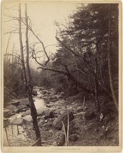  av Charles P. Hibbard
