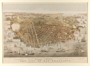 Byen San Francisco - Fugl av Charles Parsons