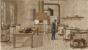 Hunder i bur inne i laboratoriet til Louis Pasteur av Charles Paul Renouard