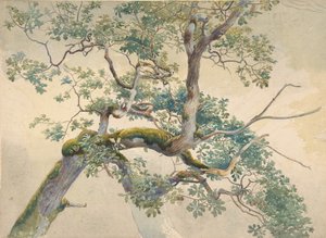 Tregrener, 1852-1908.