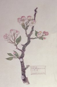 Apple, Walberswick, 1915 (blyant og wc)