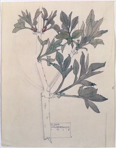 Elder, Walberswick, 1915 (wc og blyant på papir)