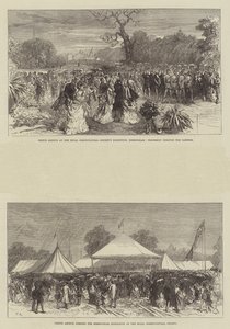 Prins Arthur på Royal Horticultural Societys utstilling i Birmingham av Sir John Charles Robinson