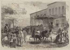 Abyssinian Expedition, transportoffiserer kjøper muldyr overfor Shepheard