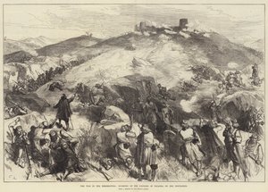 Krigen i Hercegovina, storming av festningen Palanka av opprørerne