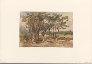Tregruppe i skogen ved Driebergen av Charles Rochussen