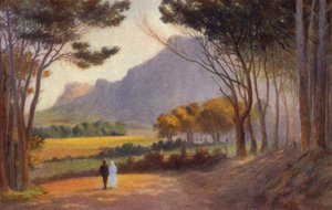 Cape Peninsula, Sør-Afrika: Alphen (farge litho) av Charles Stephen Meacham