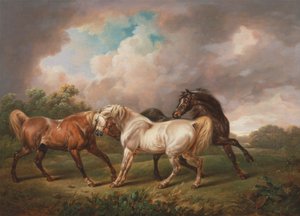 Tre hester i et stormfullt landskap av Charles Towne