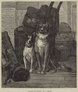 Fremmede og pilegrimer av Charles Trevor Garland