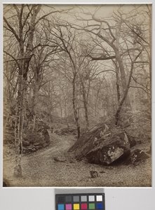 Fontainebleau, ca. 1870 (albumtrykk) av Charles Victor Famin