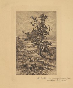 Landskap med sauer av Charles Volkmar