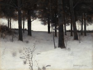 Skog om vinteren