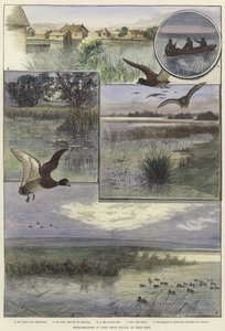 Andeskyting på Long Point Island av Charles Whymper