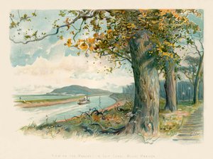Utsikt over Manchester-skipskanalen - Mount Manisty av Charles Wilkinson