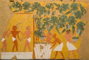 Vinproduksjon, Tomb of Ipuy (tempera på papir)