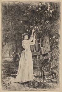Uten tittel (kvinne plukker blomster)
