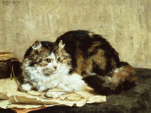 En Tabby Cat