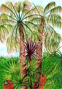 Barcelona Palms, 2017 (penselpenner) av Charlotte Orr