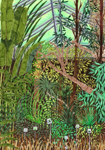Botanisk hage, 2017 (penselpenner)