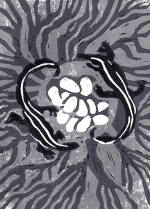 Krokodilleegg, 2021