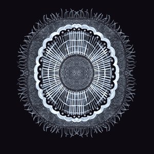 Plant Cell 0.2, 2019 (penn og blekk) av Charlotte Orr