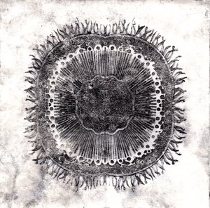 Planteceller, 2019 (tørrpunktetsing)