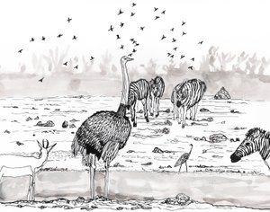 Safari 2, 2018 (blekk og akvarell) av Charlotte Orr