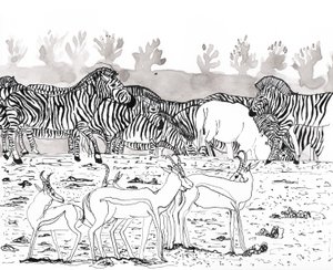 Safari 3, 2018 (blekk og akvarell) av Charlotte Orr
