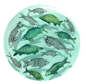 Small Fish Big Pond, 2018 (penn og blekk, akvarell og digital)