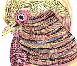 Tropical Bird, 2018 (penn, blekk og akvarell) av Charlotte Orr