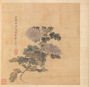 Malerier etter eldgamle mestere: Chrysanthemum, 1598-1652.