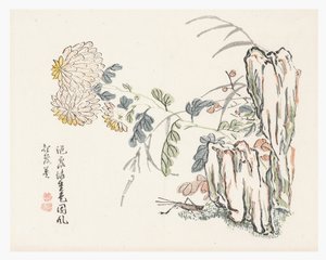 Krysantemum, sennepsfrø hagehåndbok av Cheng An (after)