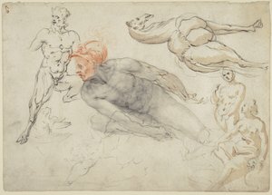  av Cherubino Alberti