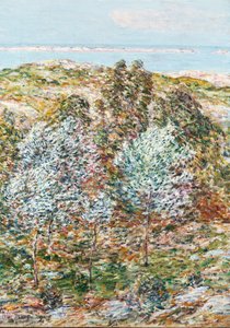 Vårsyn av Childe Frederick Hassam