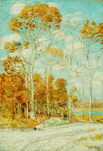 Hawk's Nest av Childe Frederick Hassam