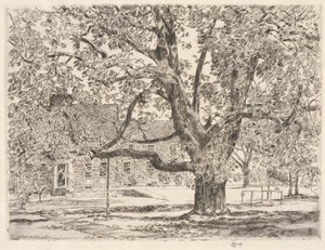 The Big Horse Chestnut Tree, Easthampton av Childe Hassam