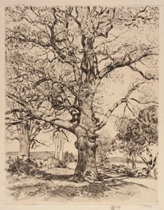  av Childe Hassam