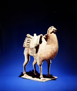 Kamel, midten til slutten av 600-tallet, Northern Wei (386-534)-Northern Qi (550-77) dynasti (lertøy) (se også 394829) av Chinese School