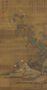 Mandarinender under smartweed, Ming- eller Qing-dynastiet, 1400-1700-tallet
