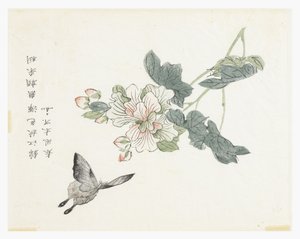 Sennepsfrøhage av Chinese School